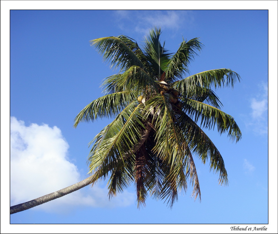 2009 - 08 - Moorea 10